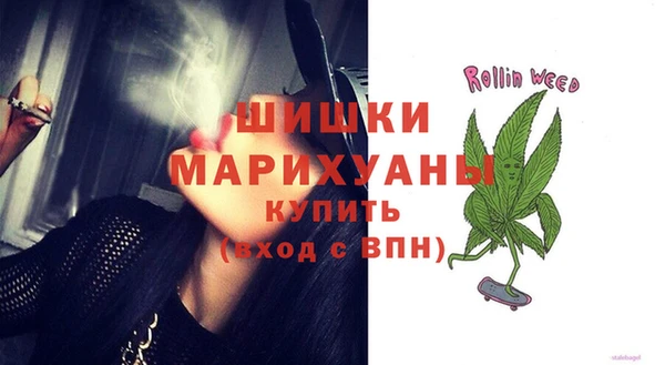 сатива Верхний Тагил