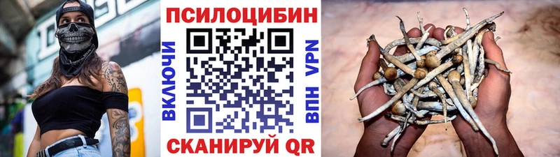 продажа наркотиков Яблоновский Псилоцибиновые грибы мицелий